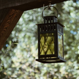 Annulation du premier scénario de la saison